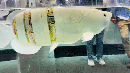 //mmbiz.qpic.cn/mmbiz_gif/jpBXxLSSYJicXqoC5a1GPFSI6VANuqtK21zHoH5RZibCHejq2UvW9WP7icOhAuh3jAGjByuyp1FYZKOLd4xLkaZuw/640?wx_fmt=gif&wxfrom=5&wx_lazy=1