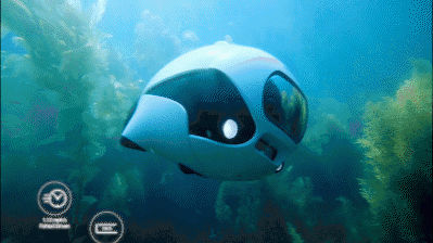 //mmbiz.qpic.cn/mmbiz_gif/jpBXxLSSYJ8FQo3okTZCPiaLmpNx3mYap6qsnc5icvQNZDFNx0mv8KuqgIeaVNhBYTjXnGPdLnr035vflzy31vQg/640?wx_fmt=gif&wxfrom=5&wx_lazy=1